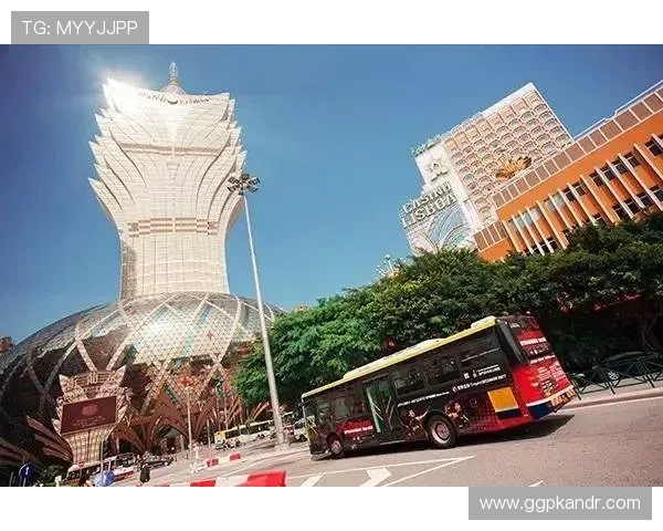 深入分析澳门百家乐不同玩法规则的异同及其影响