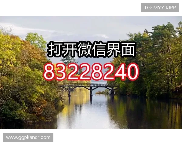 炸金花国际官网入口：玩家必看！炸金花国际官网入口的常见问题与解决方案