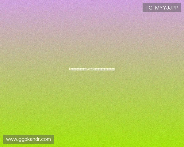 U体育网娱乐：全面解析2026世界杯赛事最新动态与精彩瞬间
